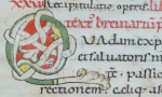 Medieval manuscripts